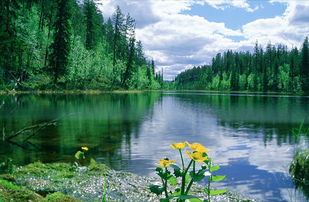 Kesänkijärvi, Finnland