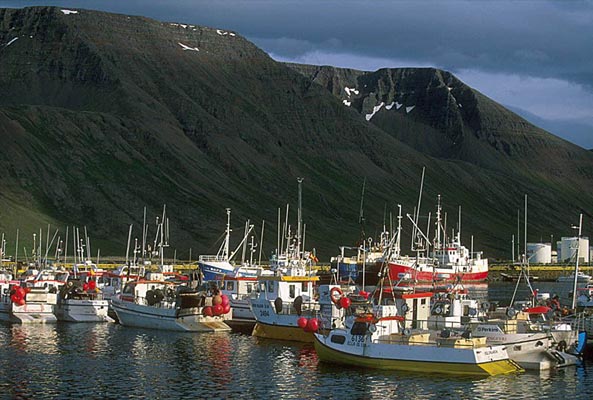 Fishing boats, the Westfjords, Island
