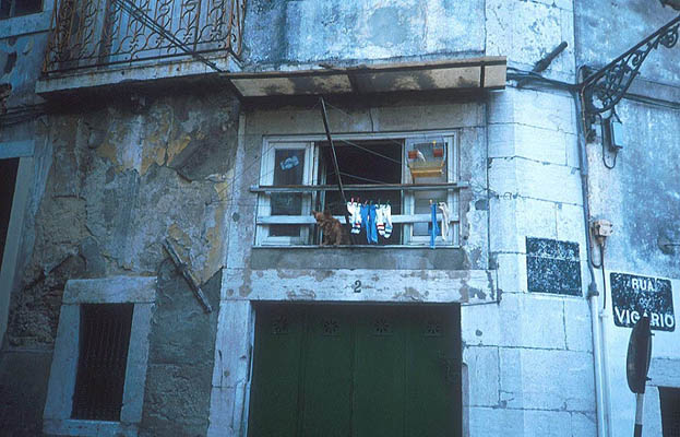 Lissabon, Alfama, Hund im Fenster, Portugal