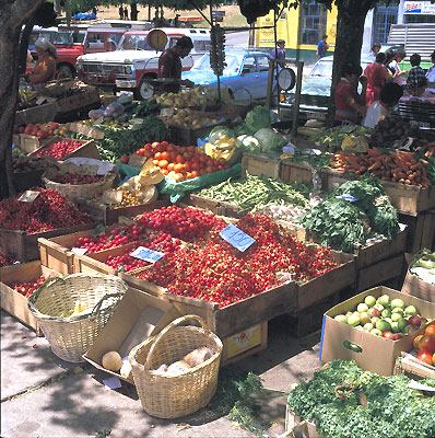 Mercado Fluvial de Valdiva, Chile