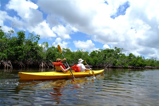 Grand Bahama Island - Kayak Nature Tours, Bahamas