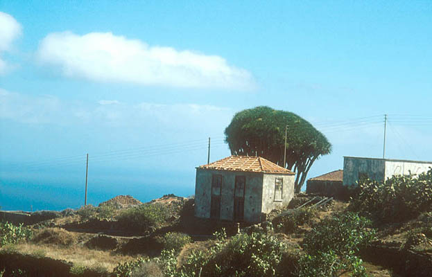 Tablado, La Palma, Kanarische Inseln