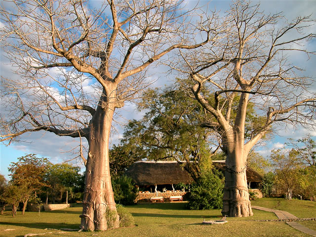 Blick auf das Mvuu-Camp im Liwonde-Nationalpark