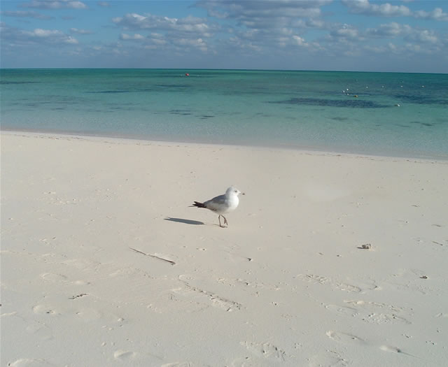 Grand Bahama, Bahamas