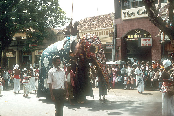 Perahera Fest, Sri Lanka