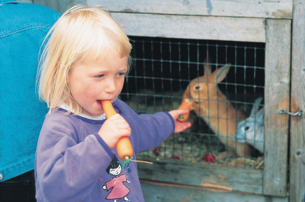 Brunlanes Stavern Vestfold farm holiday girl feeding rabbits portrait, Norwegen