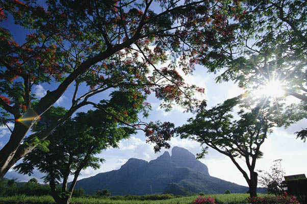 Bergansicht, Mauritius