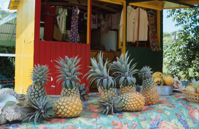 Verkaufsstand für Früchte - Fruit Stand, Antigua & Barbuda
