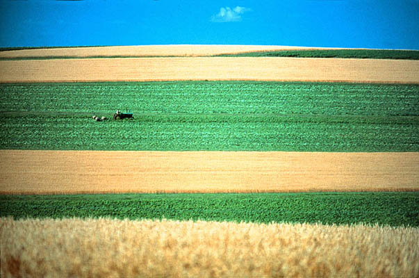 Great Plains, Landwirtschaft, Kanada