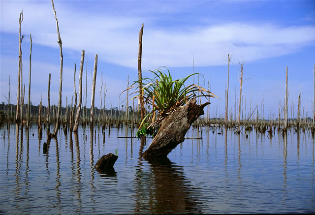 Lake Kenyir - Terengganu, Malaysia