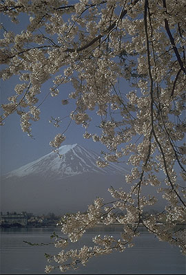 Mt. Fuji, Japan