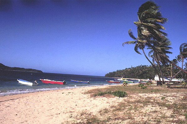 Boats, Fidschi