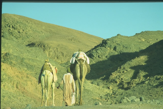 Wüste bei Charga