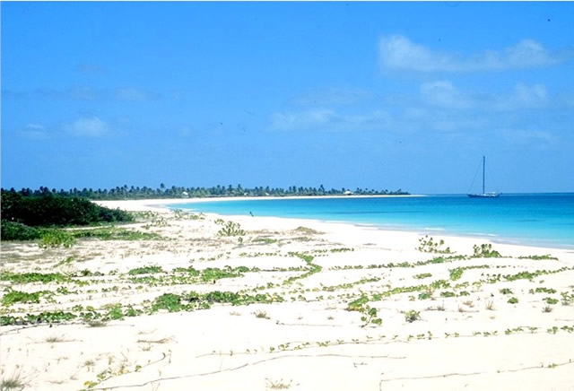 Strand auf Barbuda - Beach in Barbuda, Antigua & Barbuda