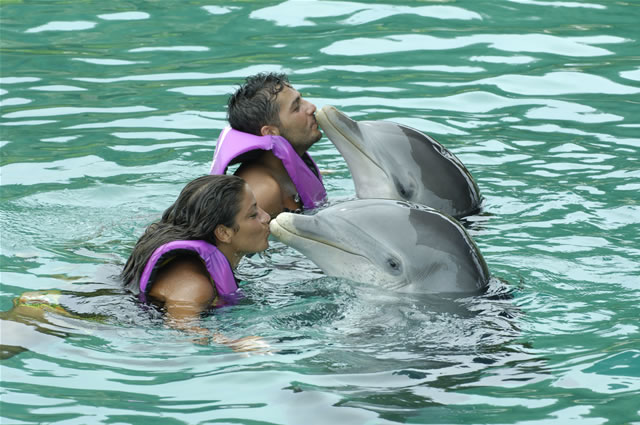 Nassau, Blue Lagoon Island - Dolphin Encounters, Bahamas