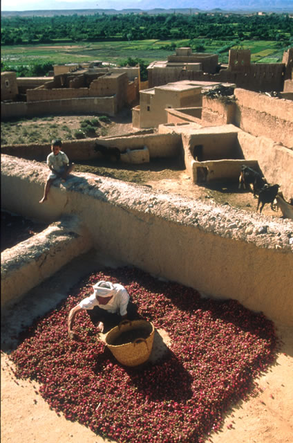 El-Kelâa M´Gouna, Marokko