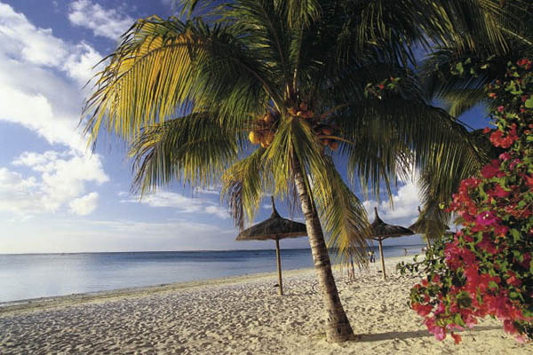 Strand mit Palme, Mauritius