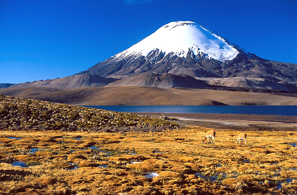 Volcan Chungara, Chile