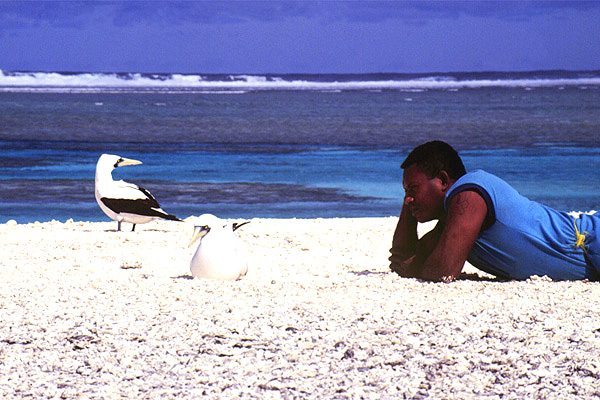 Birdwatch, Fidschi