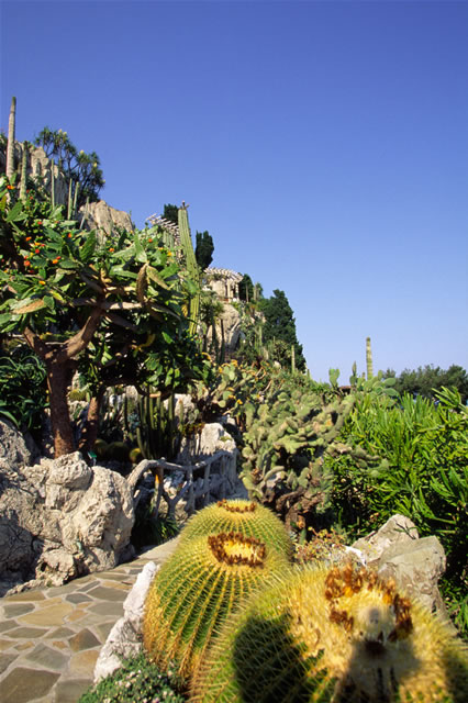 exotischer Garten - Jardin Exotique, Monaco
