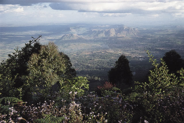 Zomba-Plateau im Shire-Hochland