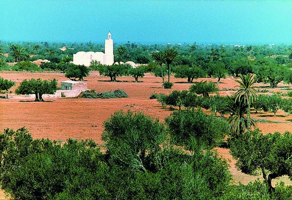 Moschee, Tunesien