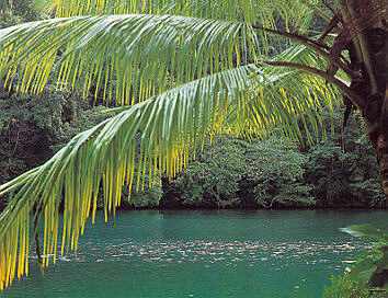 Blaue Lagune, Jamaika