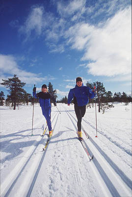 Skilanglauf, Schweden
